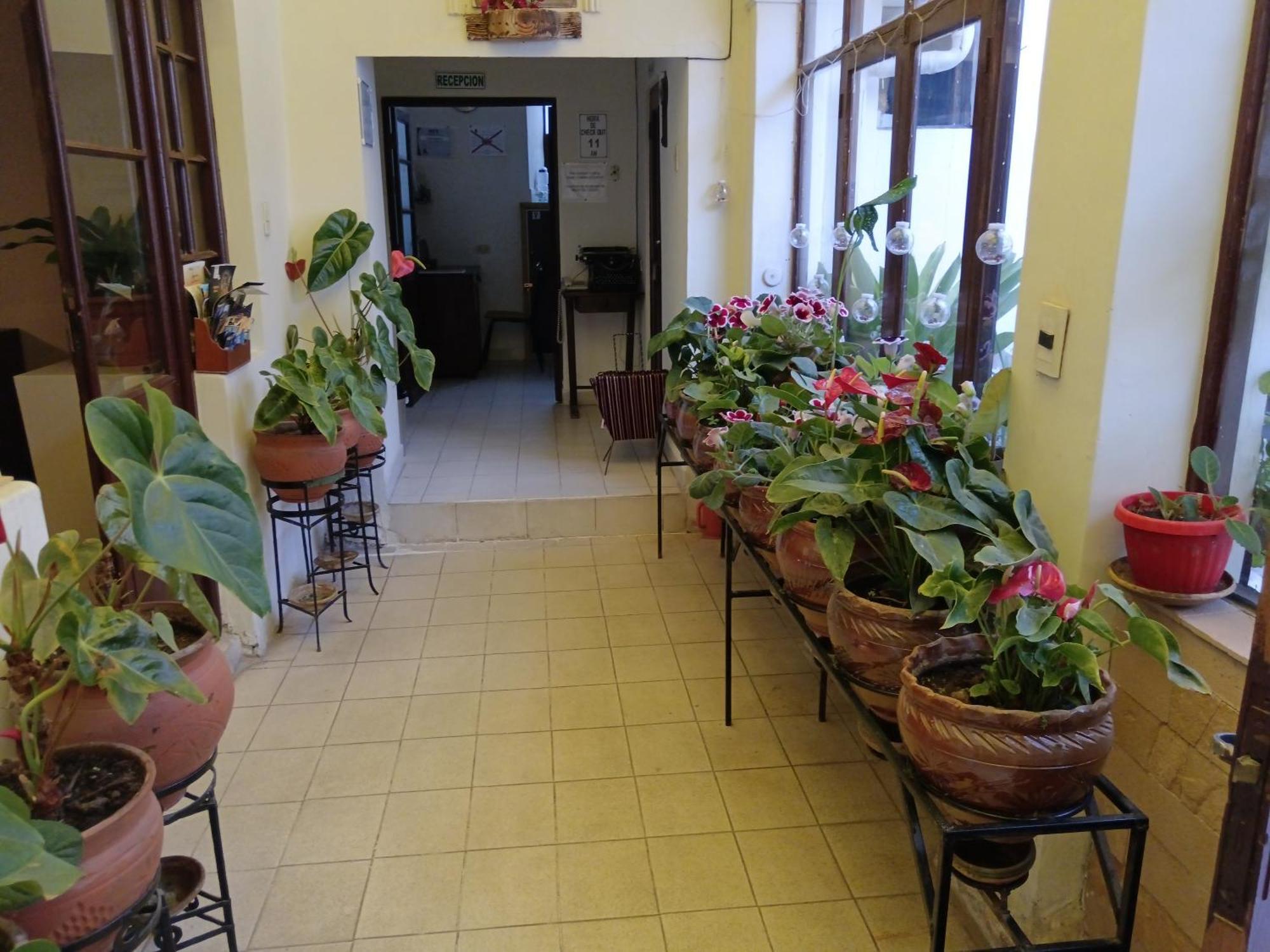 Hospedaje Ajayu Sucre Extérieur photo